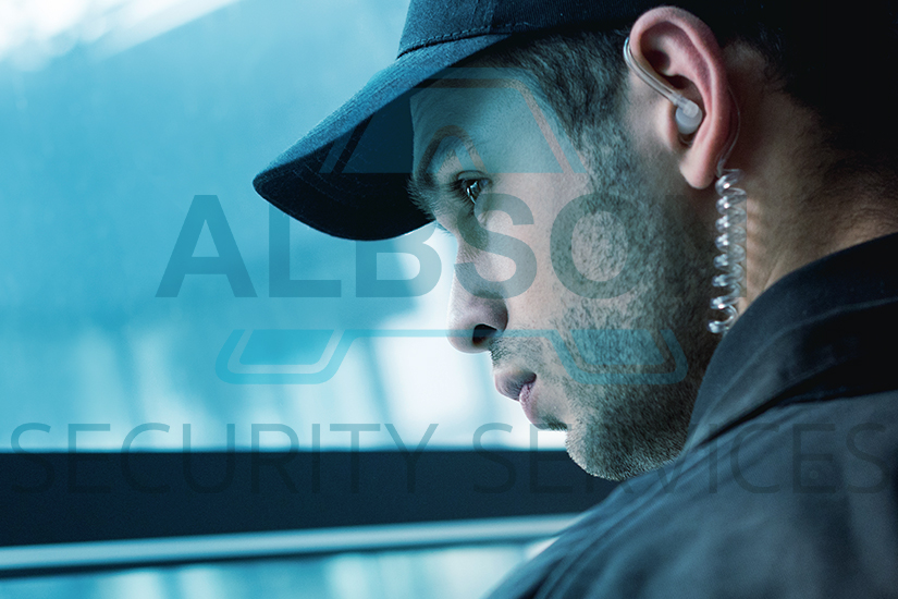 Albson Security Services