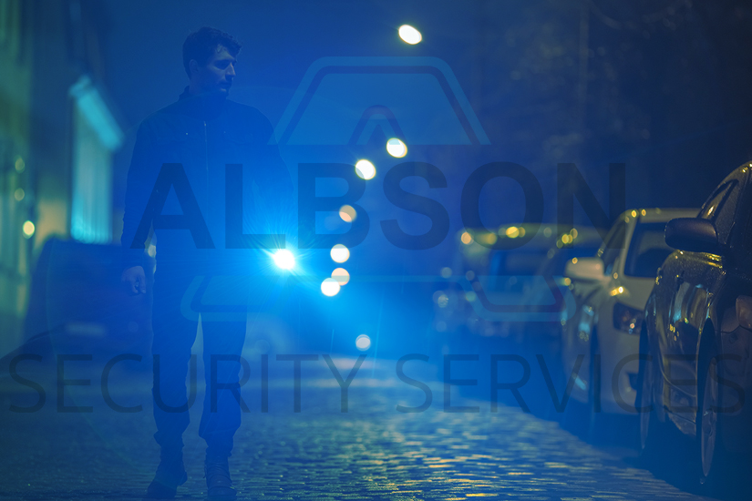 Albson Security Services