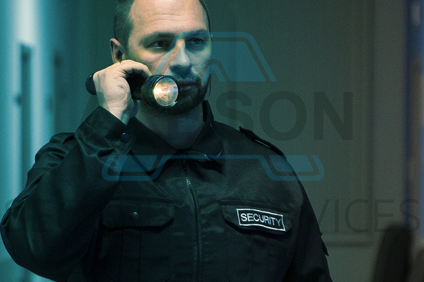 Albson Security Services